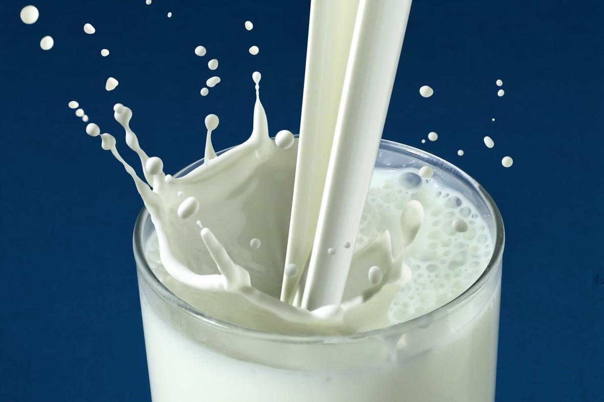 দুধ Milk
